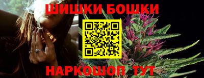 прущие грибы Можга