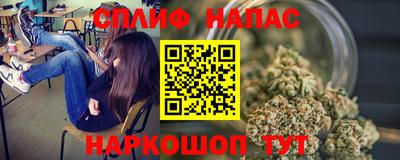 стафф Будённовск
