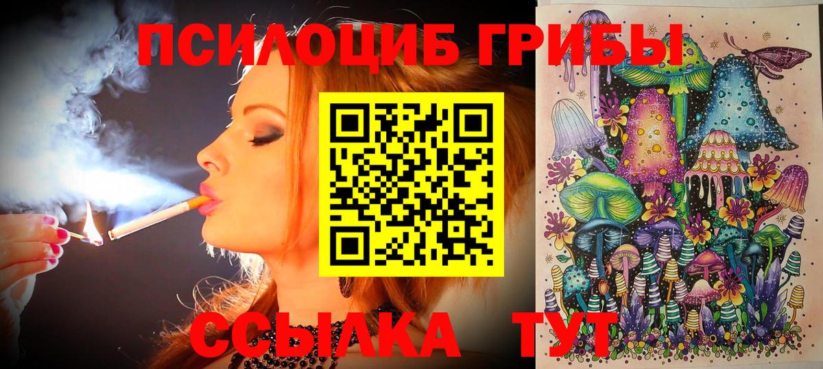 Галлюциногенные грибы MAGIC MUSHROOMS  Вход с VPN  Псилоцибиновые грибы GOLDEN TEACHER  Чехов 